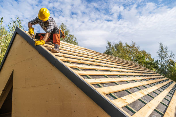 Best Roof Maintenance Services  in Stonewood, WV